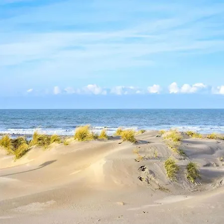 Lavish In With Sauna * Middelkerke